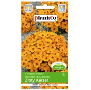 Nachyłek barwierski Złoty Karzeł - Coreopsis - nasiona PlantiCo 1g