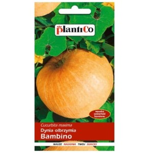 DYNIA olbrzymia BAMBINO pomarańczowa nasiona 5g