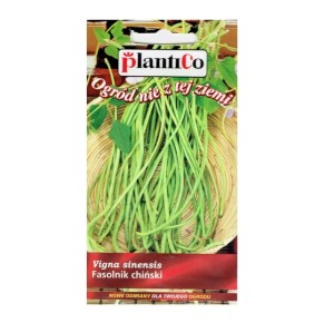 Fasolnik chiński FAKIR - długie strąki warzywne spaghetti - nasiona 2,5g