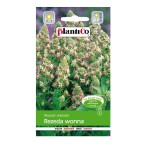 Rezeda wonna mix 2g - nasiona rezedy marki PlantiCo, pachnące kwiaty