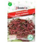 Burak ćwikłowy - nasiona na kiełki Plantico 20g - do domowej uprawy kiełków