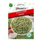 JARMUŻ prawdziwe superfoods, nasiona na kiełki 5g