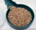 LUCERNA siewna alfalfa, nasiona na kiełki 20g