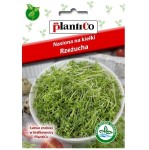 RZEŻUCHA na KIEŁKI - zdrowe i aromatyczne - nasiona Plantico 30g
