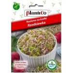 RZODKIEWKA NA KIEŁKI  - zdrowe smaczne i pikantne - nasiona Plantico 20g