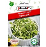 Kiełki SŁONECZNIKA Plantico 40g - nasiona do kiełkownicy - zdrowe i smaczne