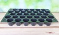 WIELODONICZKA 63/32 paleta rozsadowa z tacką DPT3