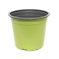 DONICZKI produkcyjne zielone okrągłe 11,5cm 10szt