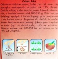 Cebula wczesna IRKA nasiona warzyw PlantiCo 6g