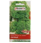 Jarmuż GRUENER KRAUSER nasiona warzyw 2g