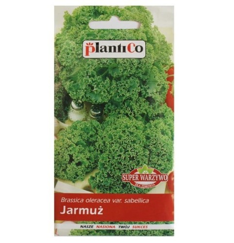 Jarmuż GRUENER KRAUSER nasiona warzyw 2g