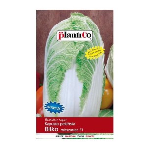 Kapusta pekińska BILKO F1 nasiona warzyw 0,15g