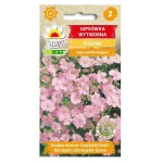 Gipsówka wytworna różowa - Gypsophila elegans - nasiona Toraf 1g