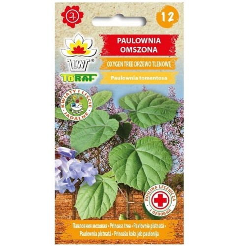 PAULOWNIA omszona DRZEWO TLENOWE nasiona 0,1g