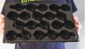 PALETA TRANSPORTOWA UPRAWOWA na doniczki 6/20