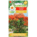 Płomień Afryki - Wianowłostka królewska - 5 nasion marki Toraf