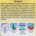 Oberżyna bakłażan VIOLETTA LUNGA nasiona 1g