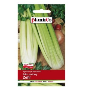 Seler naciowy ZEFIR nasiona 0,5 g PLANTICO