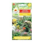 KAKTUSY - mieszanka gatunków - nasiona kaktusów marki Toraf 0,2g