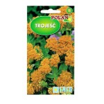 TROJEŚĆ pomarańczowa bylina nasiona kwiatów 0,3g