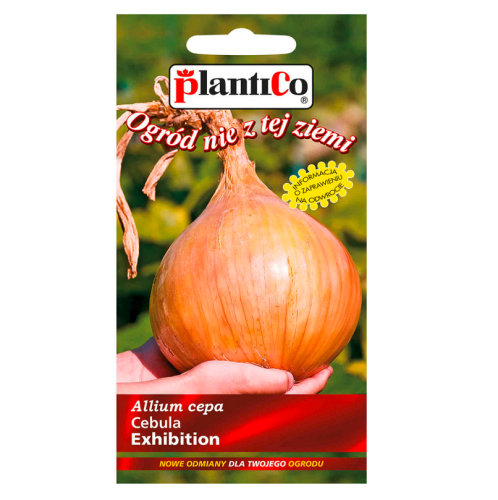Cebula EXHIBITION słodka i DUŻA, nasiona - 1g