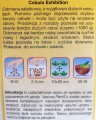 Cebula EXHIBITION słodka i DUŻA, nasiona - 1g