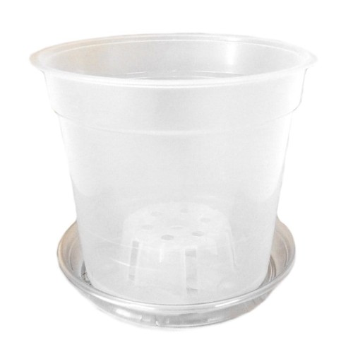 DONICZKA do uprawy STORCZYKA 15cm z podstawką