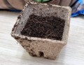 DONICZKA TORFOWA biodegradowalna KWADRATOWA 6x6cm