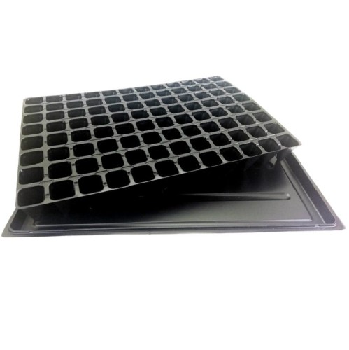 Wielodoniczka 96 komórek na rozsadę z tacką DPT5