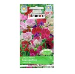 GROSZEK pachnący MIX kolorów nasiona kwiatów 2g