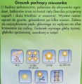GROSZEK pachnący MIX kolorów nasiona kwiatów 2g