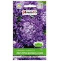 ASTER PEONIOWY wysoki FIOLETOWY nasiona kwiatów 1g