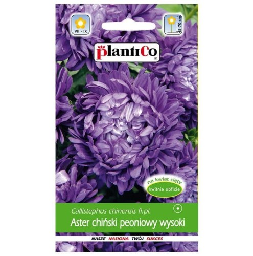 ASTER PEONIOWY wysoki FIOLETOWY nasiona kwiatów 1g