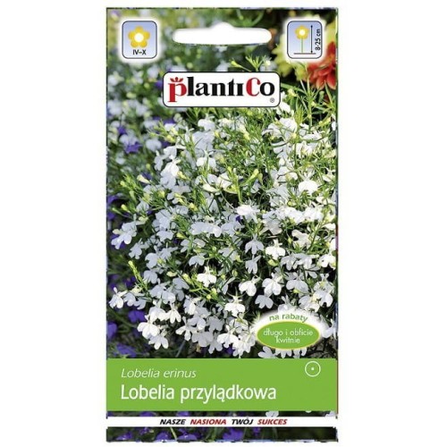 LOBELIA przylądkowa Stroiczka BIAŁA nasiona 0,2g