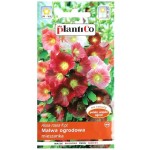 MALWA ogrodowa, prawoślaz wysoki, MIX kolorów - nasiona kwiatów Plantico 1g
