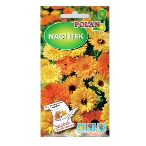 NAGIETEK lekarski wysoki MIX kolorów nasiona