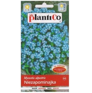 Niezapominajka niebieska - roślina dwuletnia - nasiona PlantiCo 0,5g