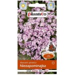 Niezapominajka różowa - roślina kwitnąca dwuletnia - nasiona PlantiCo 0,5g