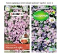NIEZAPOMINAJKA RÓŻOWA nasiona kwiatów 0,5g