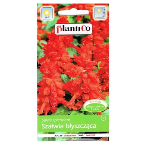 SZAŁWIA błyszcząca CZERWONA nasiona kwiatów 0,5g
