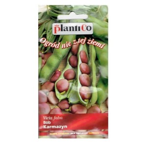 Bób KARMAZYN - czerwony średniowczesny plenny - nasiona PlantiCo 30g