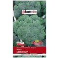 BROKUŁ SEBASTIAN nasiona warzyw PlantiCo 2g