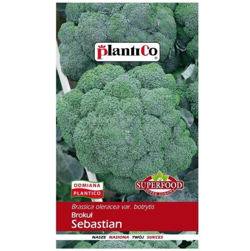 BROKUŁ SEBASTIAN nasiona warzyw PlantiCo 2g