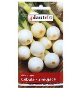 Cebula zimująca PLANTICO nasiona 3g