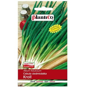 Cebula siedmiolatka KROLL nasiona warzyw 2g