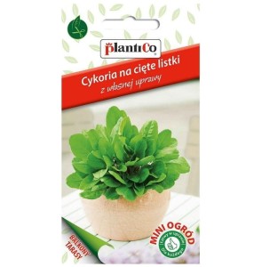 CYKORIA LIŚCIOWA nasiona na cięte listki 0,5g Mini Ogród