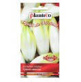 CYKORIA SAŁATOWA nasiona warzyw PlantiCo 0,2g