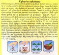 CYKORIA SAŁATOWA nasiona warzyw PlantiCo 0,2g
