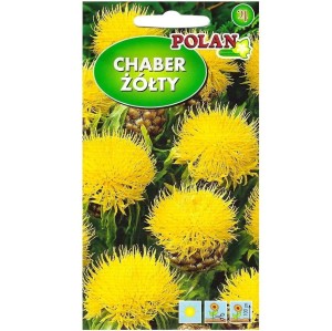 CHABER WIELKOKWIATOWY główkowy ŻÓŁTY nasiona 1g