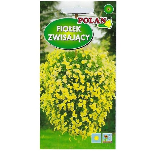 FIOŁEK ZWISAJĄCY ŻÓŁTY nasiona kwiatów 0,3g